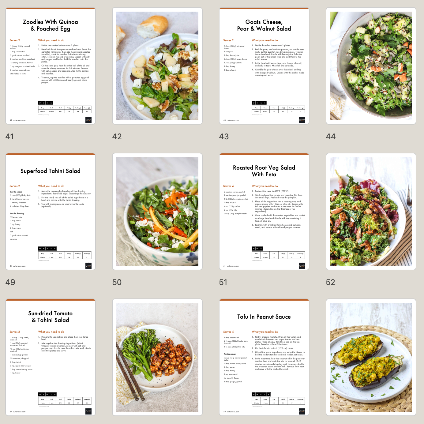 EASY EVERYDAY VEGETARIAN RECIPE E-BOOK